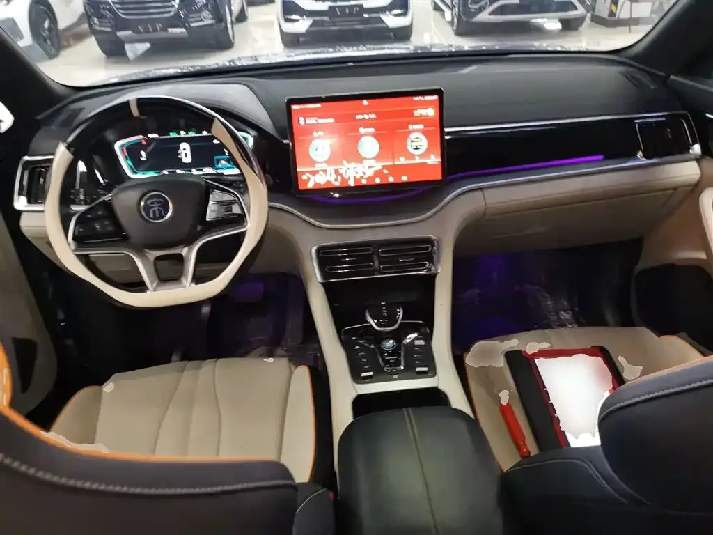 BYD PLUS New Energy 2022 из CN, фото 6