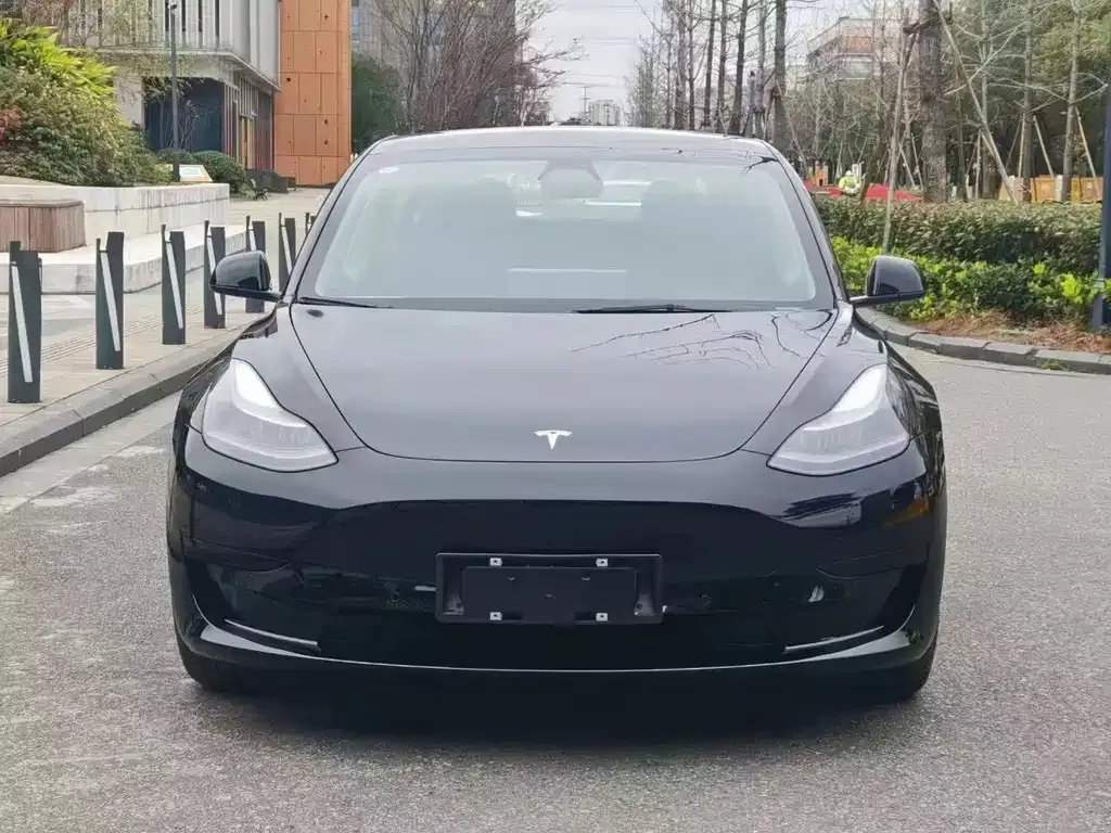 Tesla Model 3 — фото 2