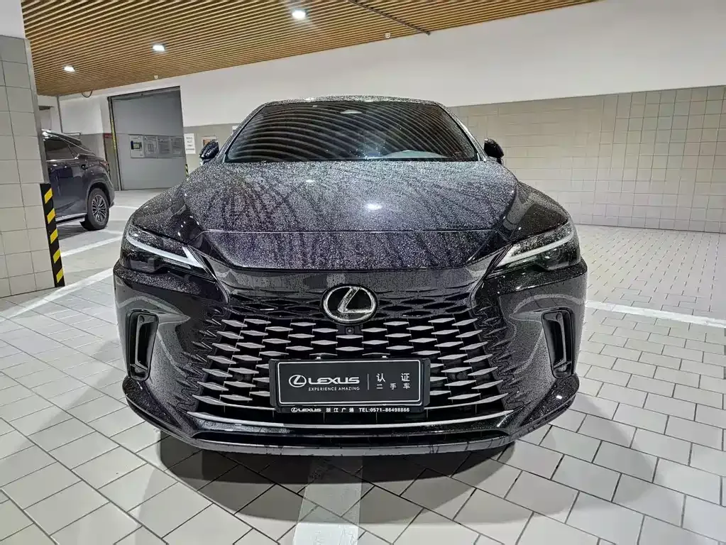 Lexus RX — фото 9