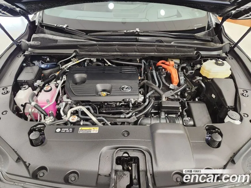 Lexus RX 2025 из KR, фото 9