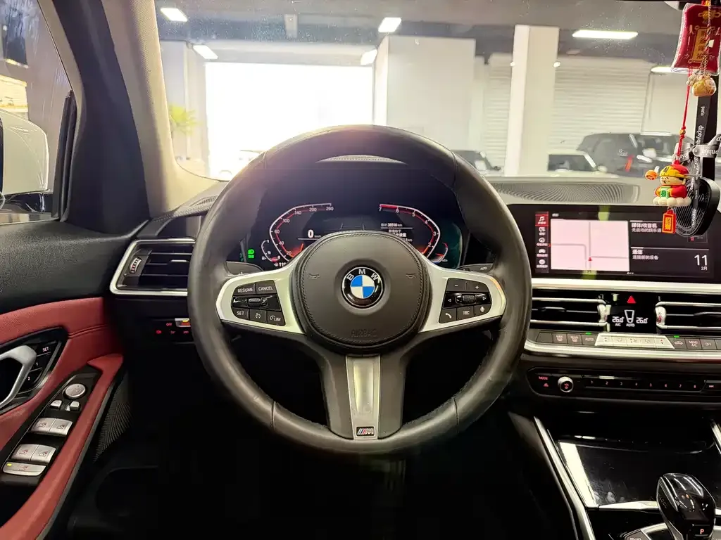BMW 3 Series 2021 из CN, фото 6