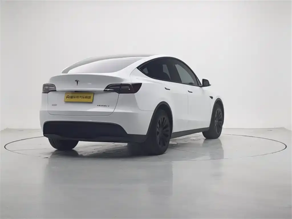Tesla Model Y — фото 2