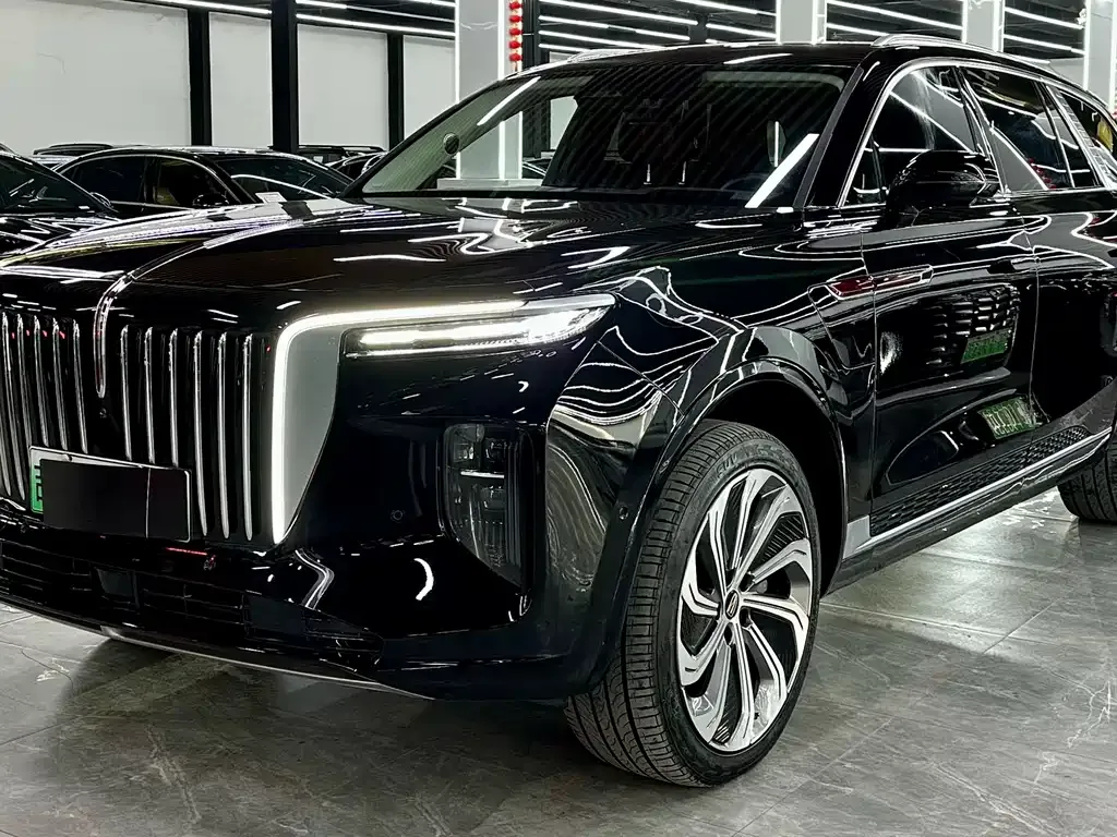 Hongqi E-HS9 — фото 1