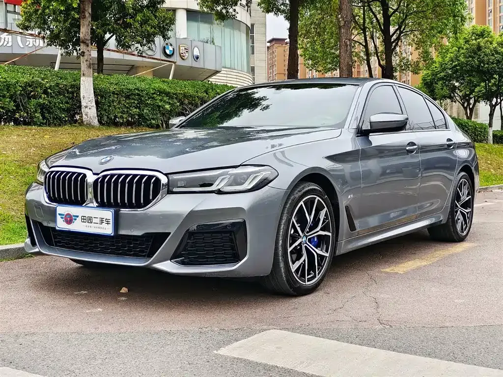 BMW 5 Series (Import) 2023 из CN, фото 1