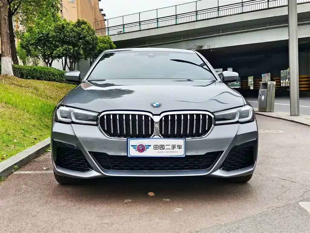 BMW 5 Series (Import) 2023 из CN, фото 10
