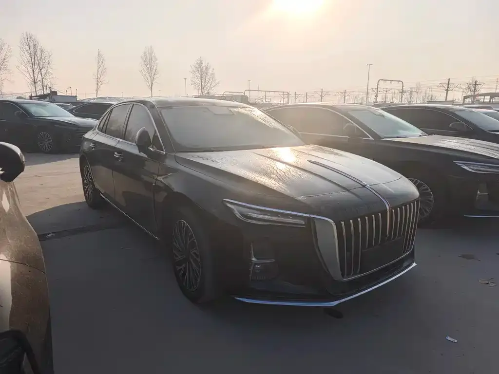 Hongqi H5 2023 из CN, фото 5