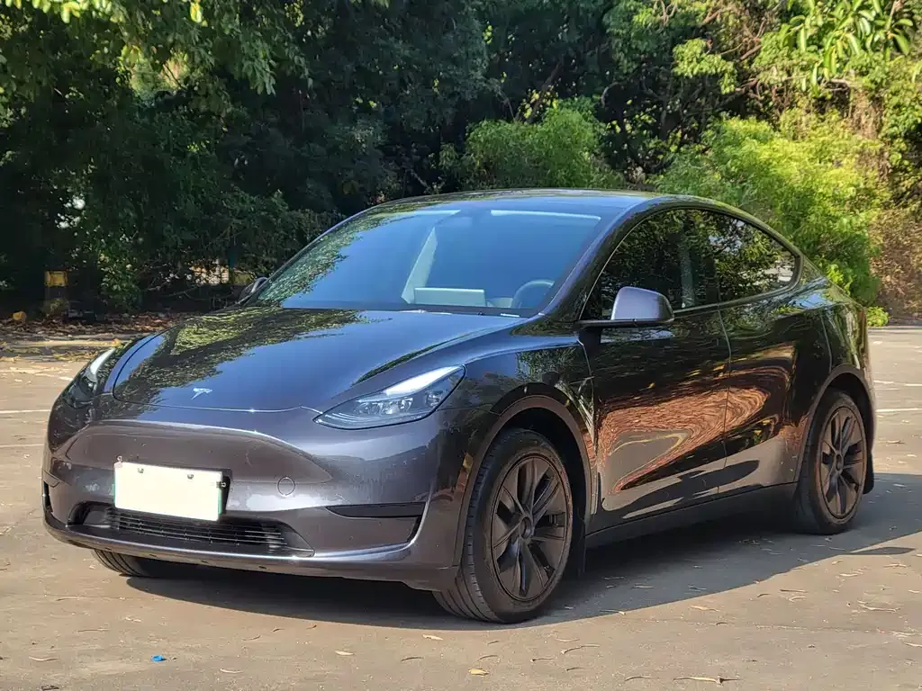 Tesla Model Y — фото 1