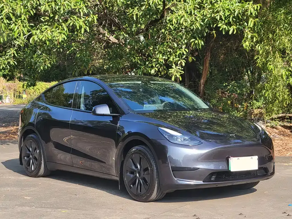 Tesla Model Y — фото 9