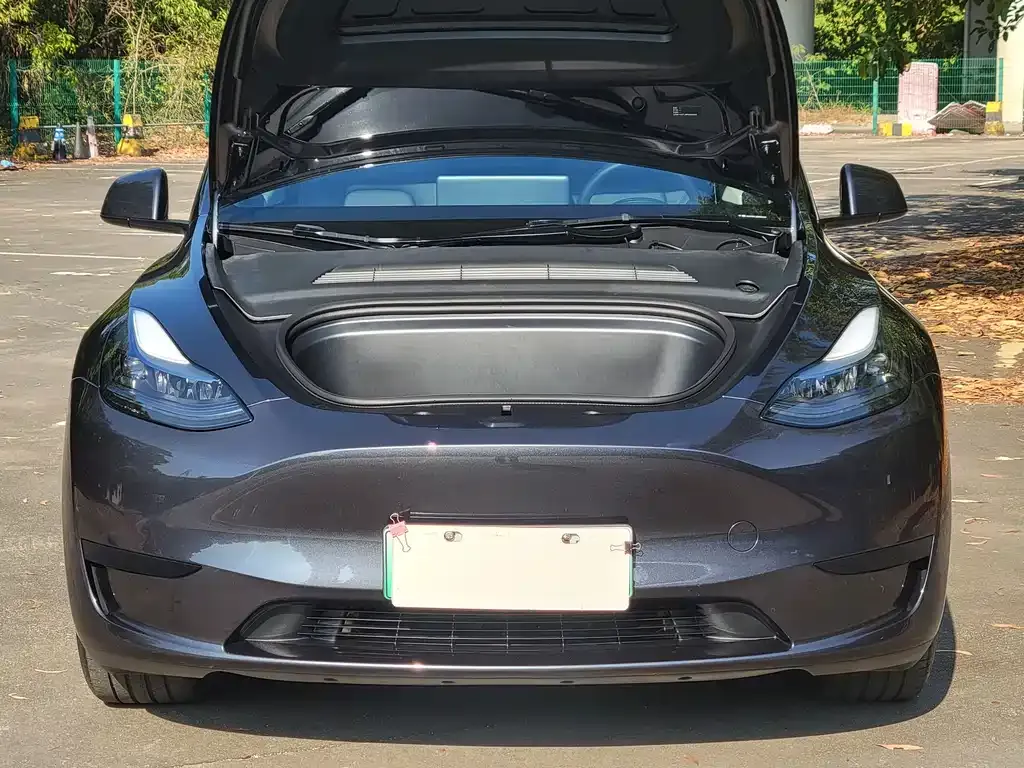 Tesla Model Y — фото 5