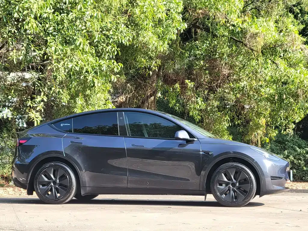 Tesla Model Y — фото 10