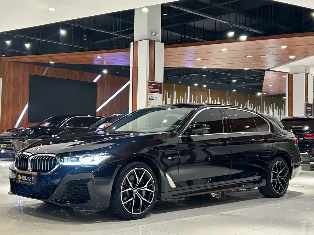 BMW 5 Series 2021 из CN, фото 1
