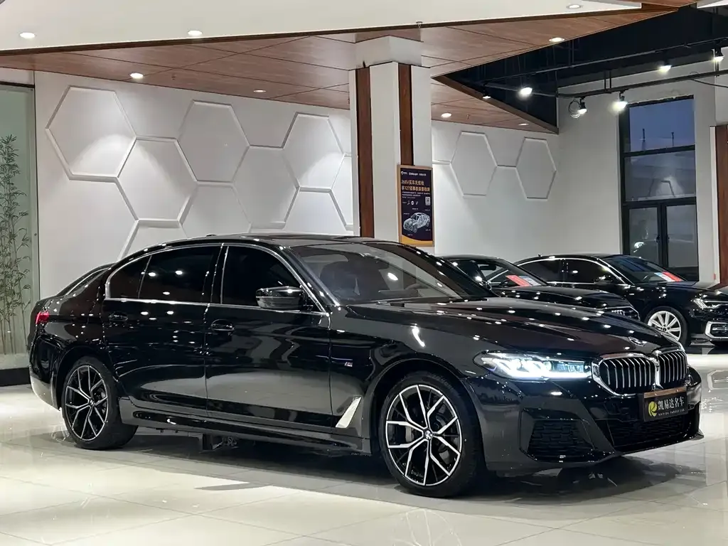 BMW 5 Series 2021 из CN, фото 9