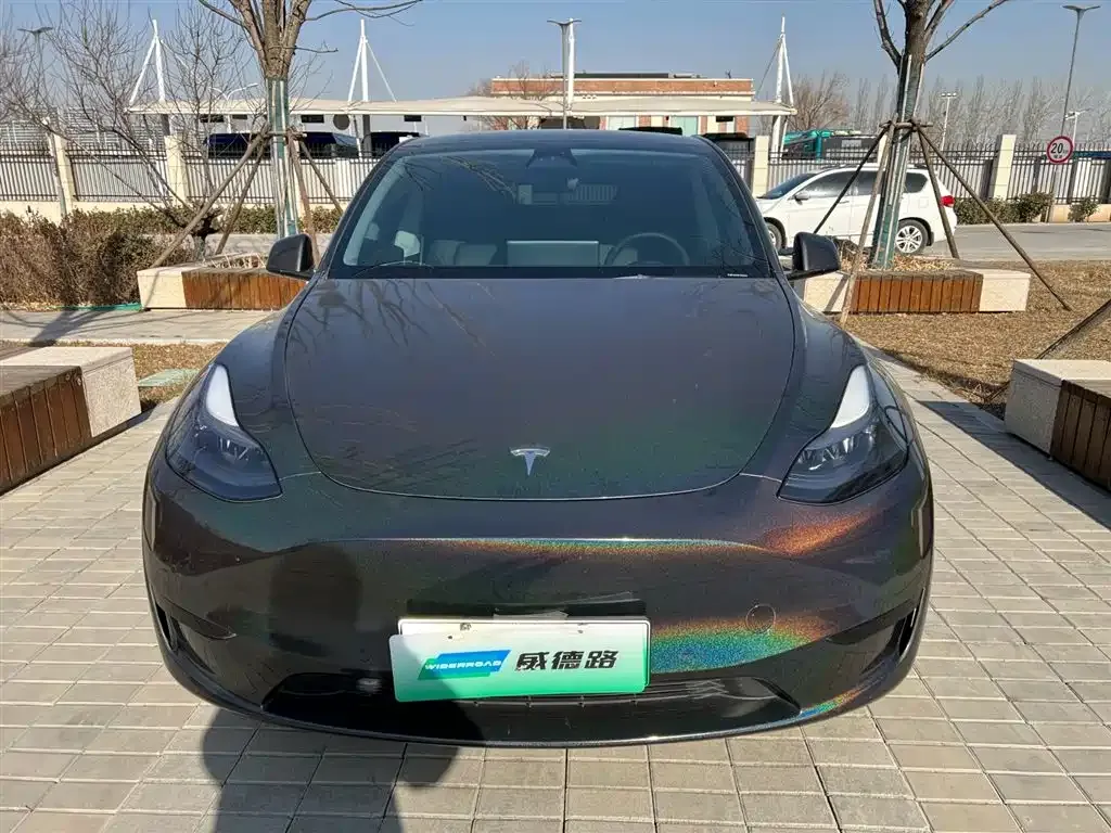 Tesla Model Y — фото 10