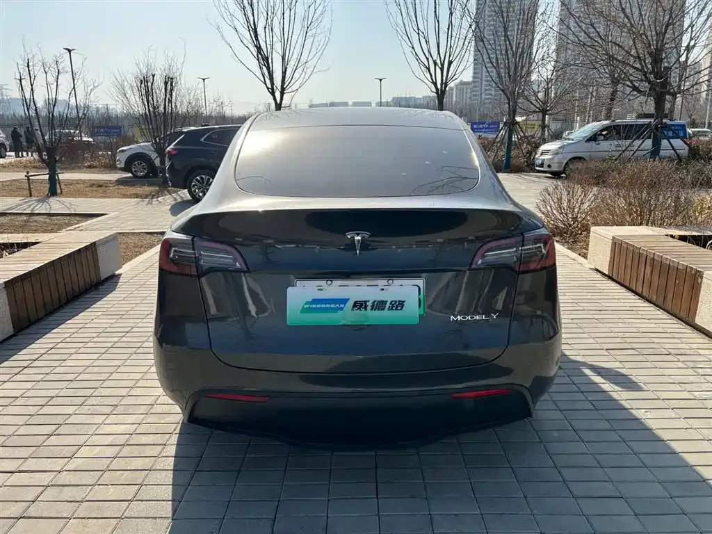 Tesla Model Y — фото 3
