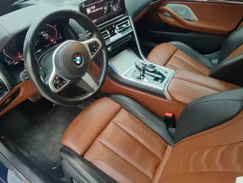 BMW 8 Series 2023 из CN, фото 10