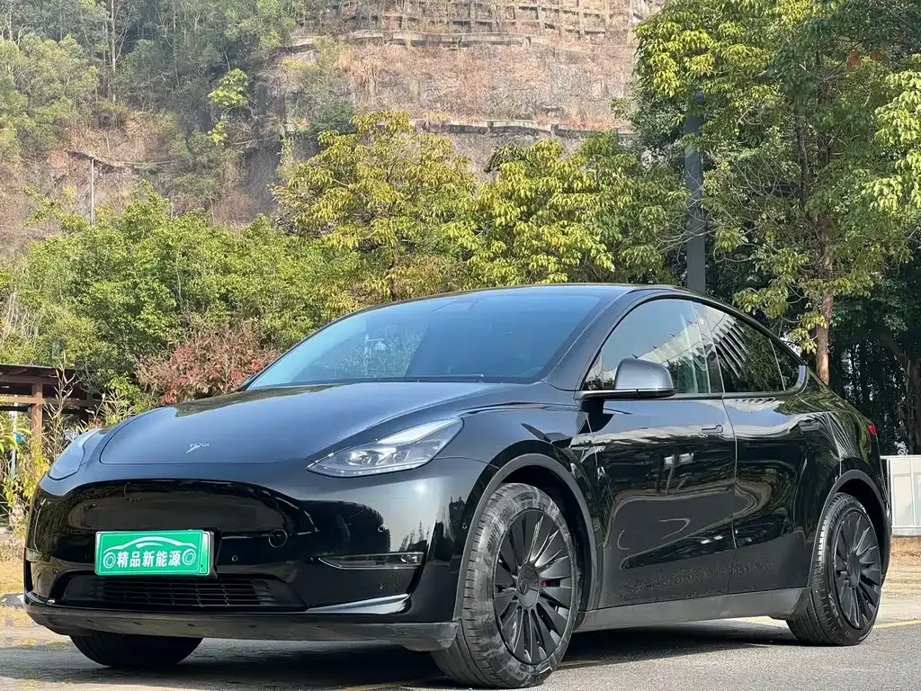 Tesla Model Y 2021 из CN, фото 1