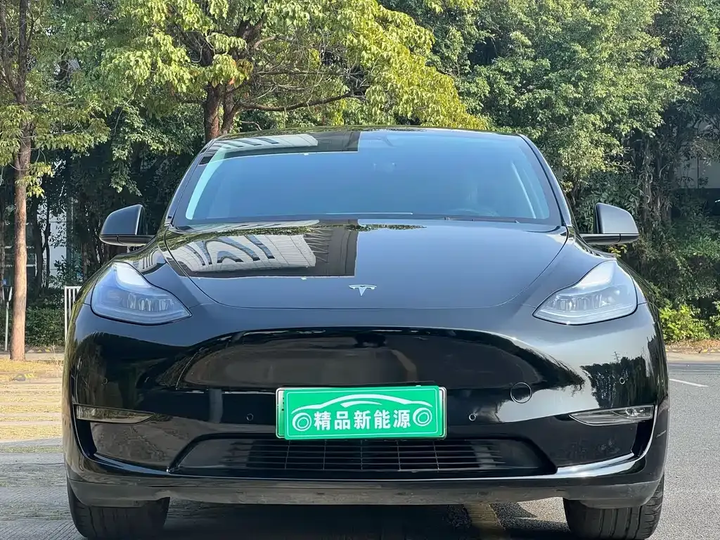 Tesla Model Y 2021 из CN, фото 5