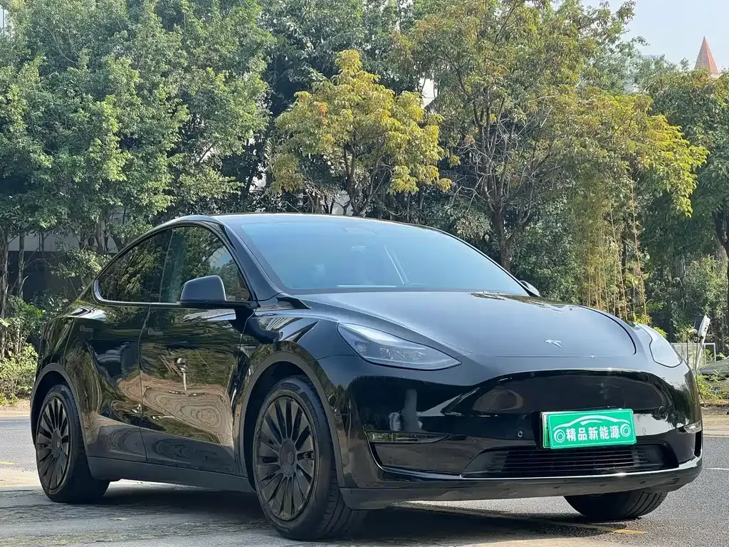 Tesla Model Y 2021 из CN, фото 7