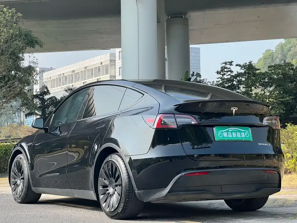 Tesla Model Y 2021 из CN, фото 3