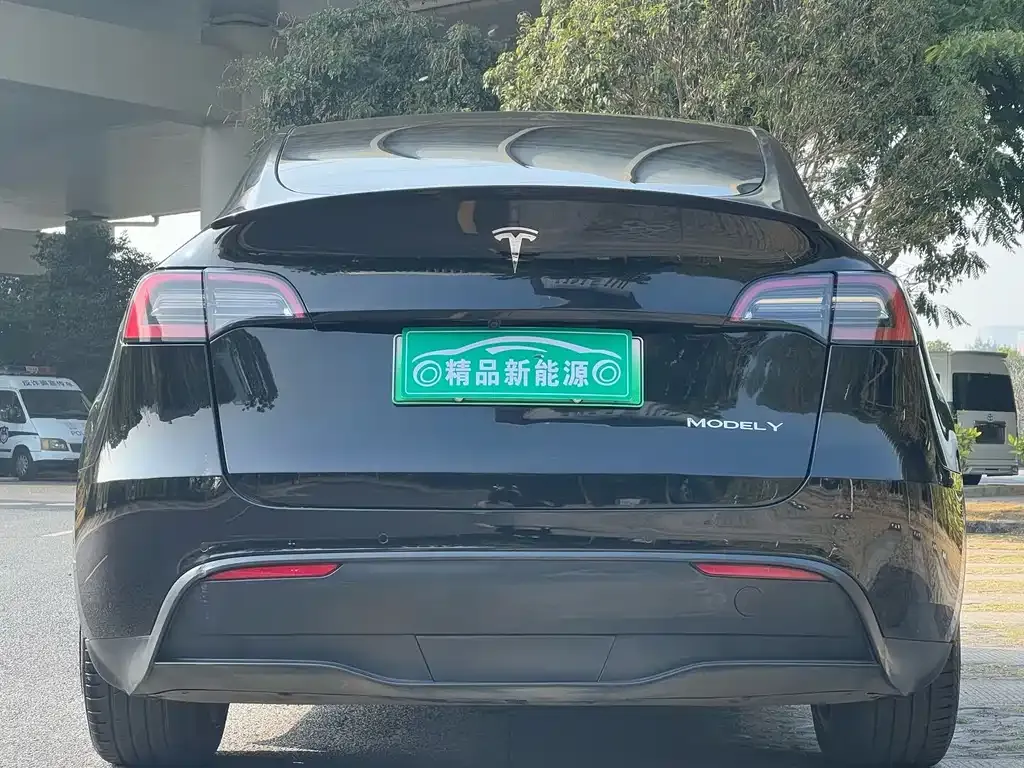 Tesla Model Y 2021 из CN, фото 6