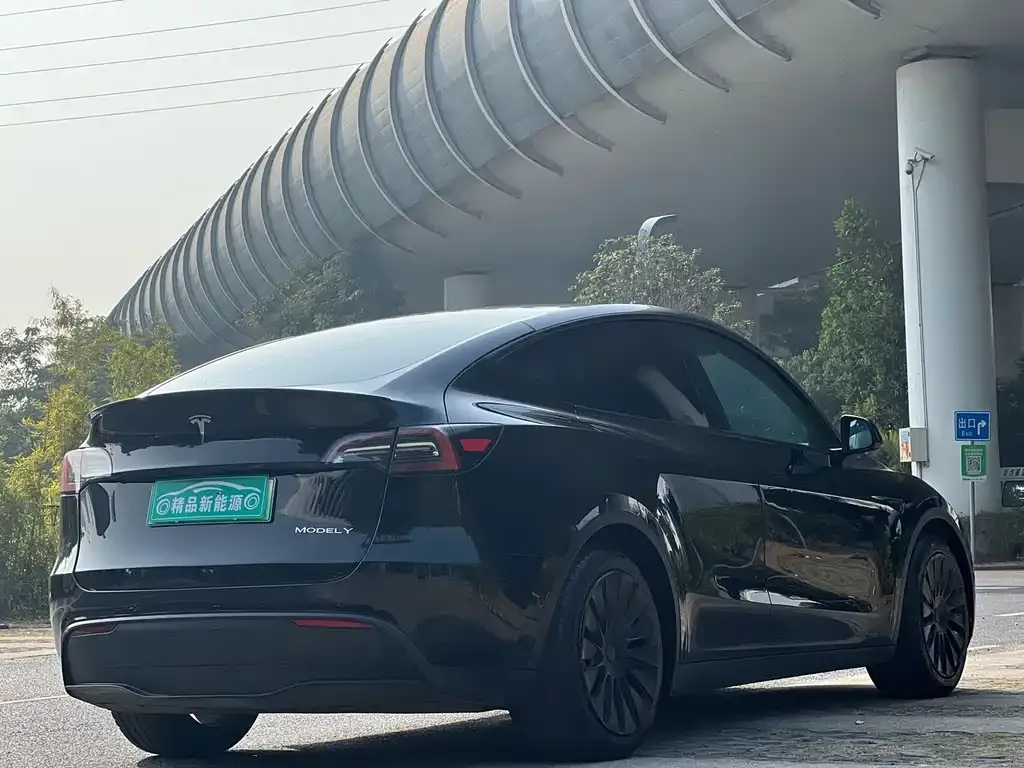 Tesla Model Y 2021 из CN, фото 4