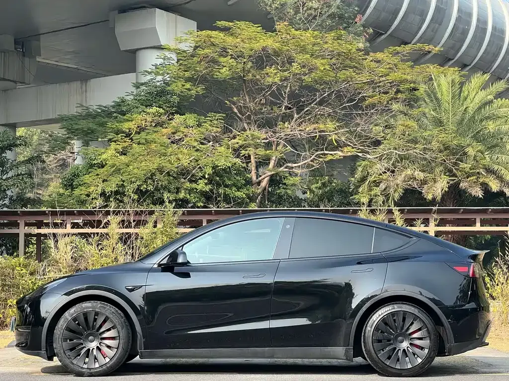 Tesla Model Y 2021 из CN, фото 10
