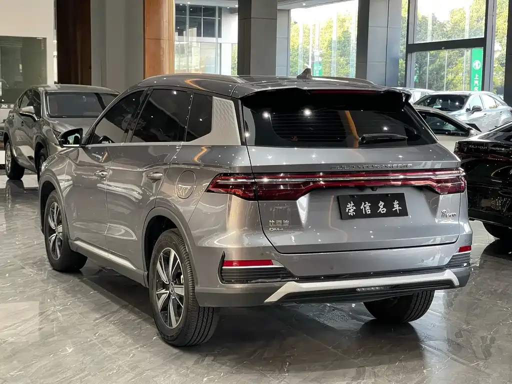 BYD Pro New Energy — фото 9