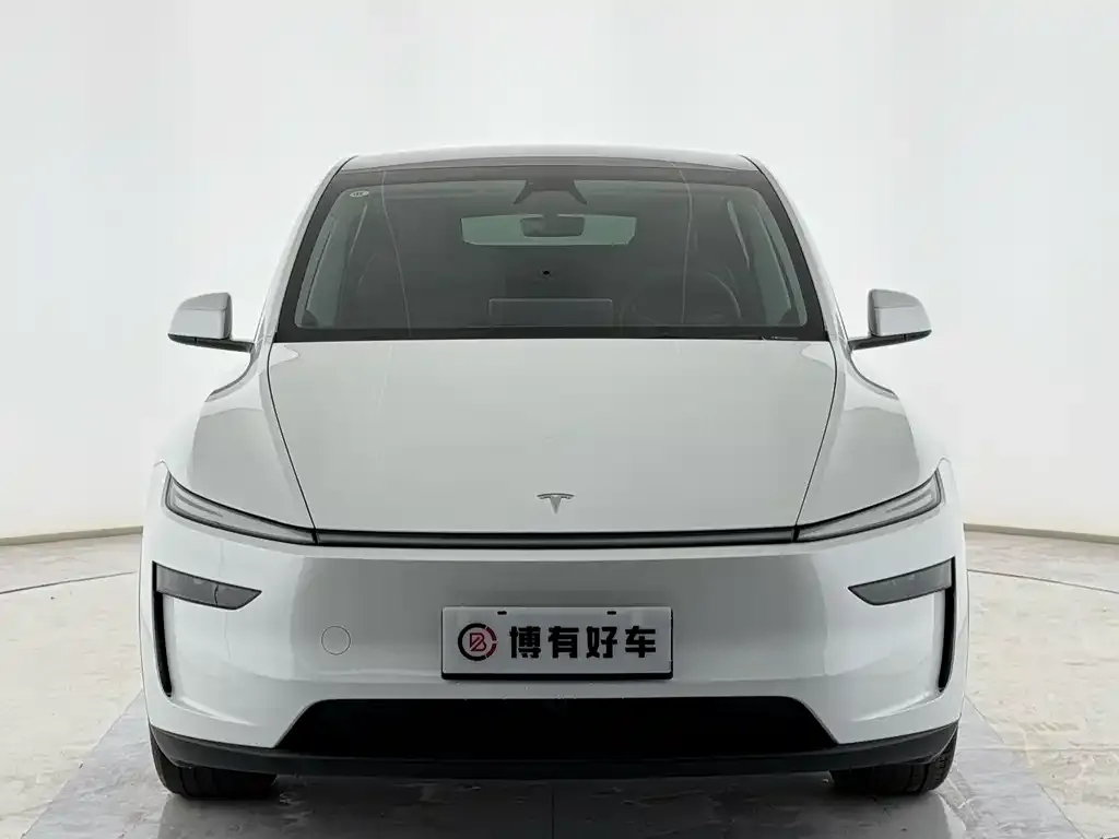 Tesla Model Y 2025 из CN, фото 6
