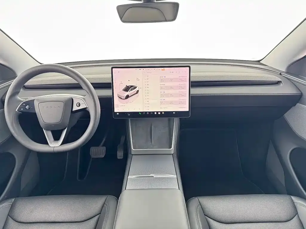 Tesla Model Y 2025 из CN, фото 9