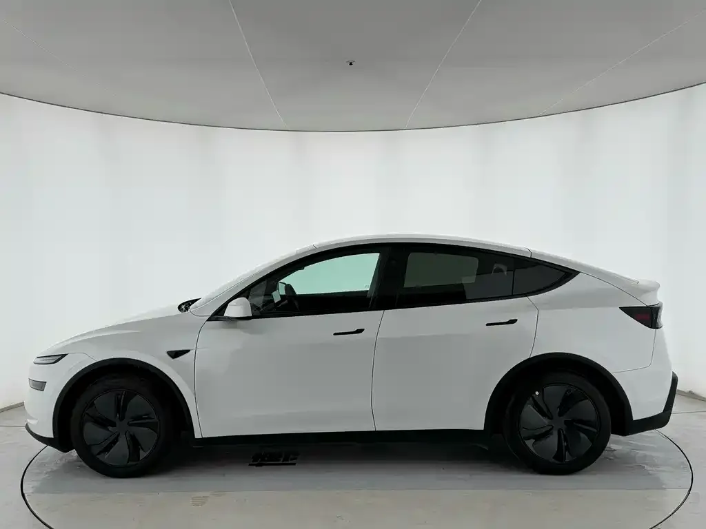 Tesla Model Y 2025 из CN, фото 7
