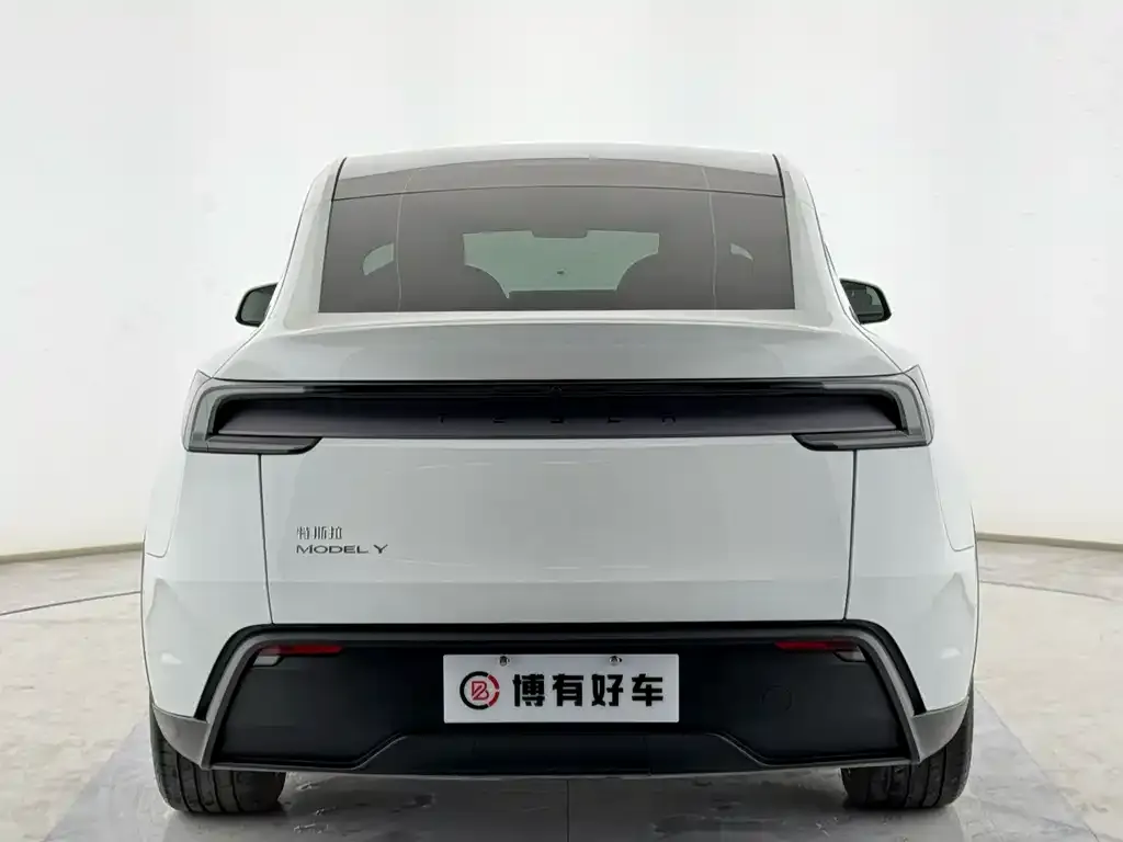 Tesla Model Y 2025 из CN, фото 2