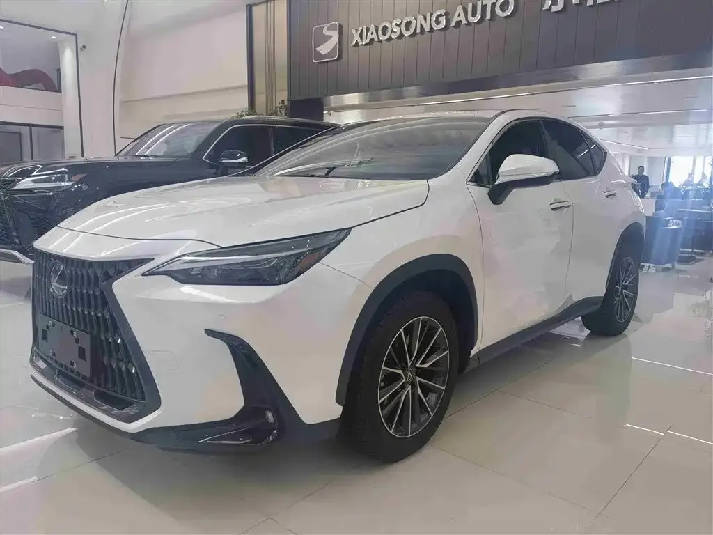 Lexus NX 2023 из CN, фото 1