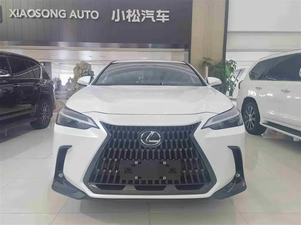 Lexus NX 2023 из CN, фото 3