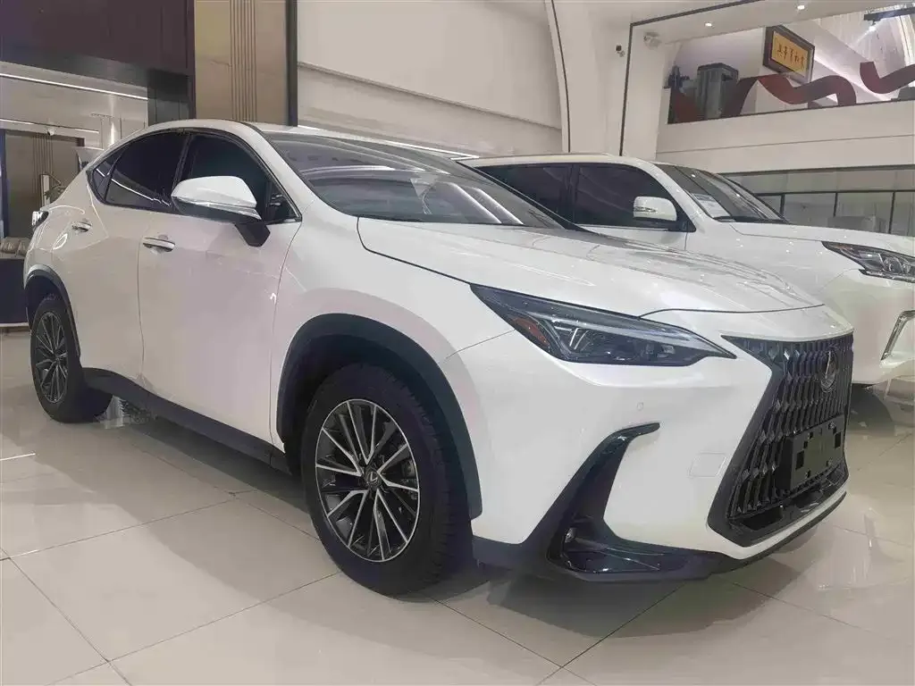 Lexus NX 2023 из CN, фото 5