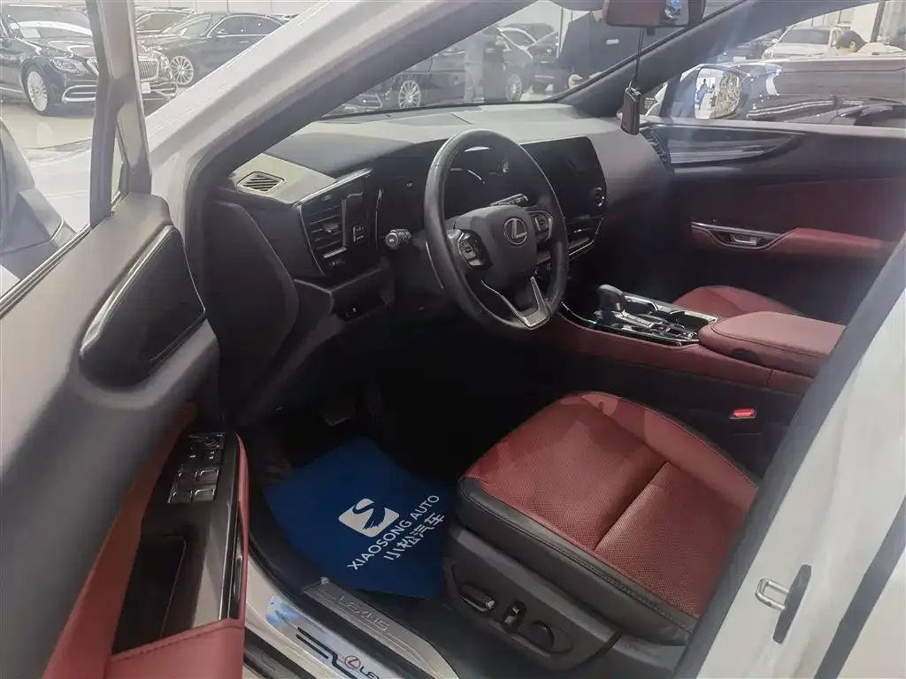 Lexus NX 2023 из CN, фото 6