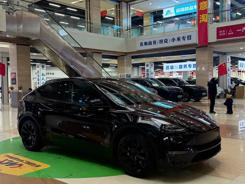Tesla Model Y — фото 3