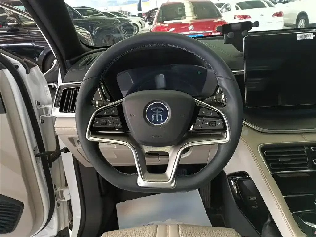 BYD PLUS New Energy 2023 из CN, фото 8