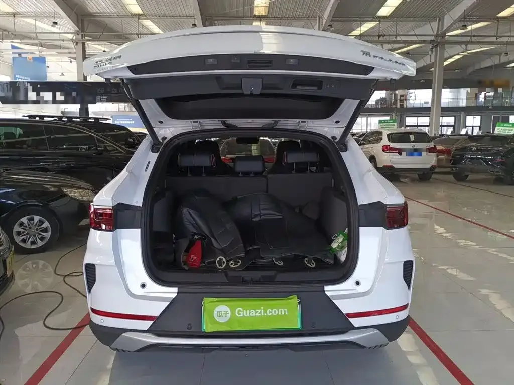 BYD PLUS New Energy 2023 из CN, фото 6