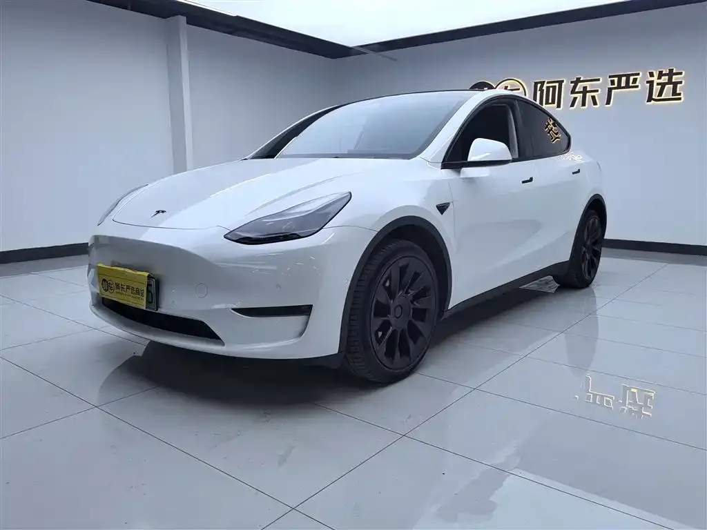 Tesla Model Y 2024 из CN, фото 6