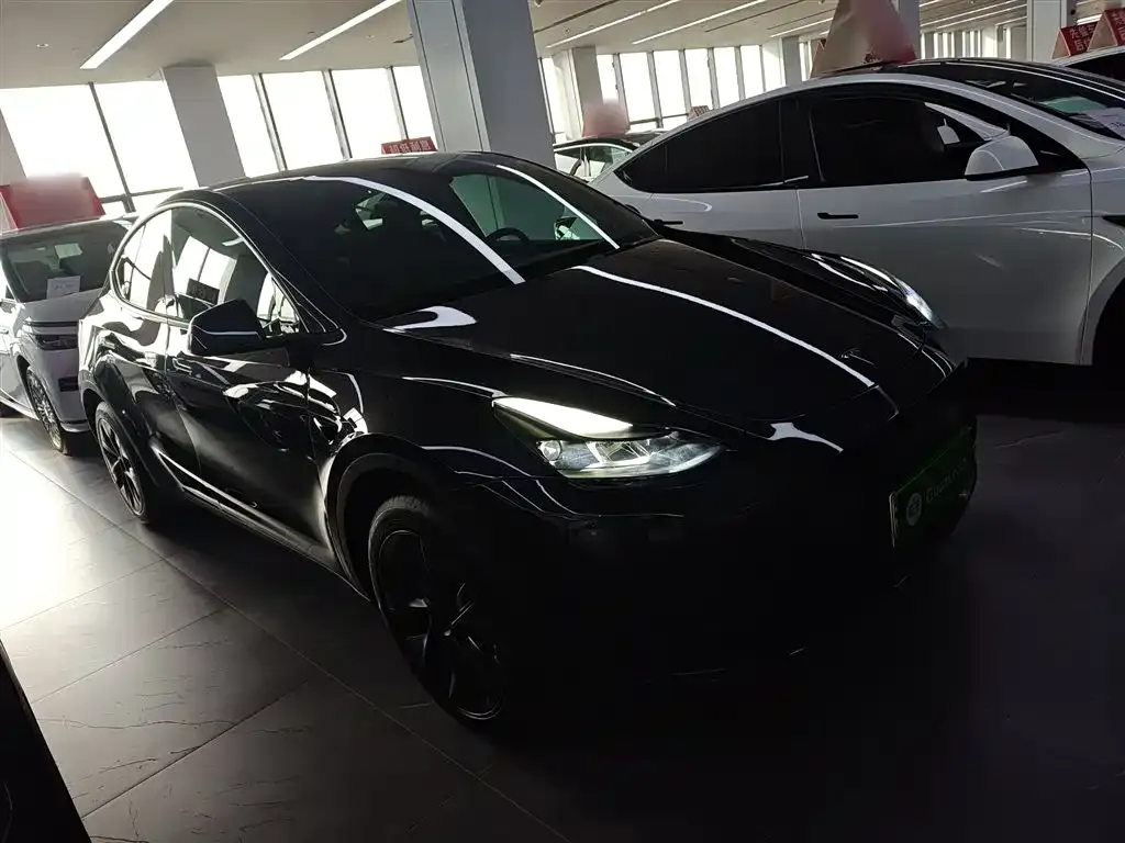 Tesla Model Y 2024 из CN, фото 6