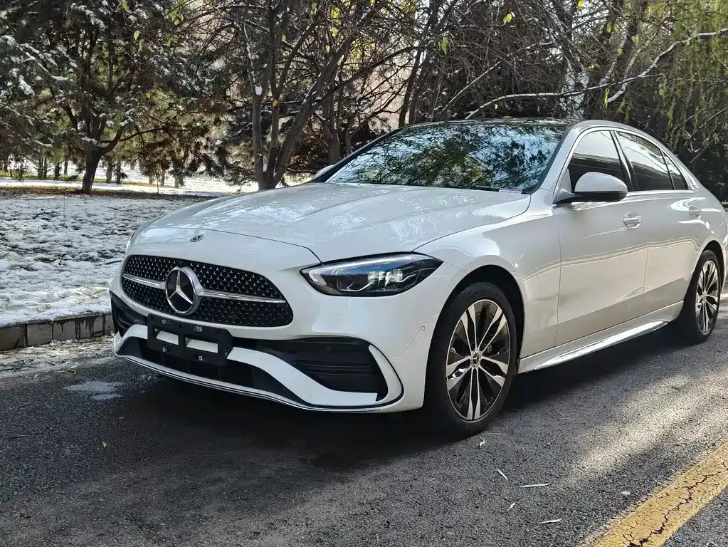 Mercedes-Benz C-Class New Energy — фото 1