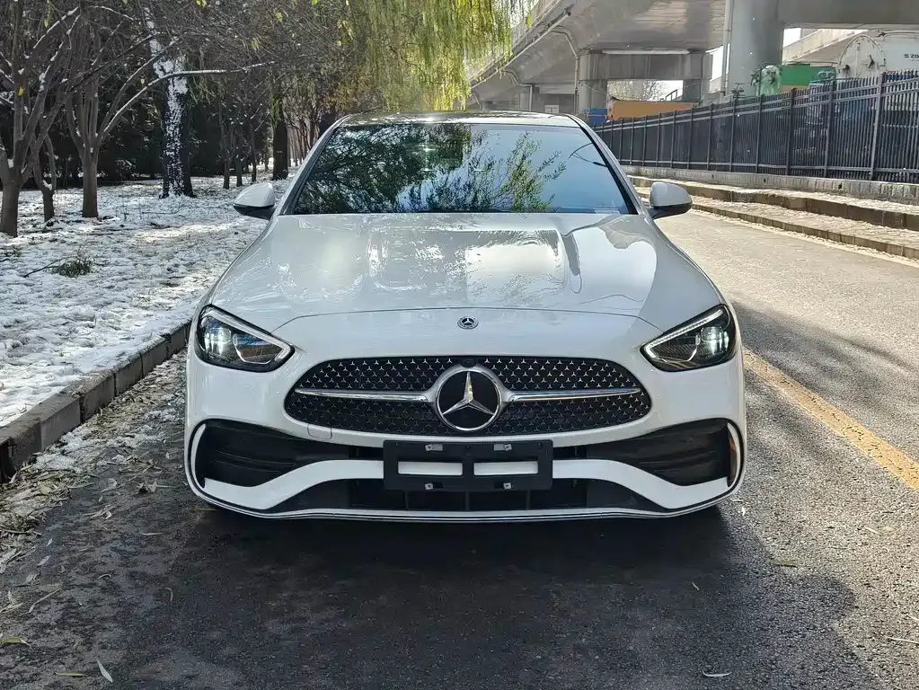 Mercedes-Benz C-Class New Energy — фото 7