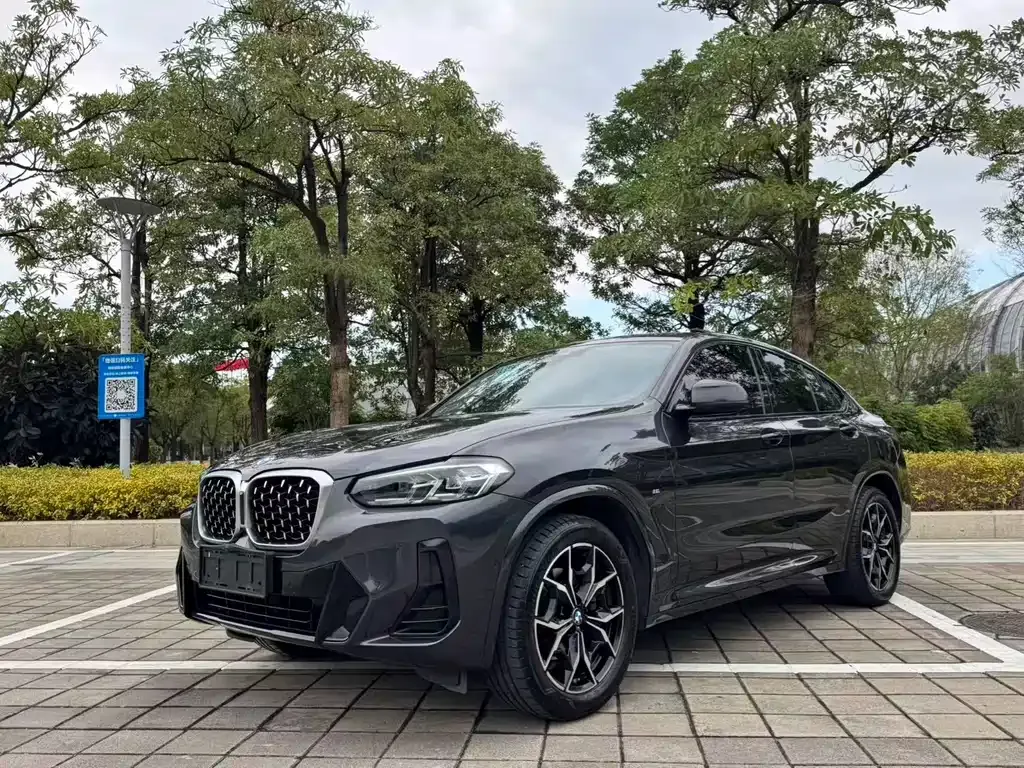 BMW X4 — фото 1