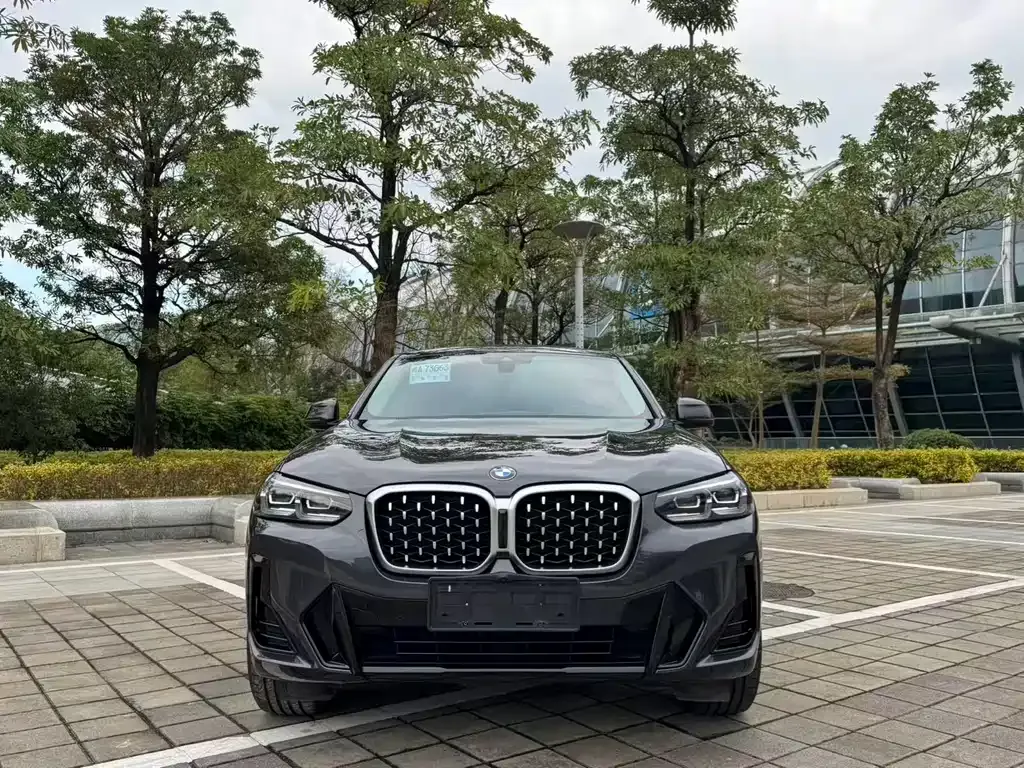 BMW X4 — фото 8
