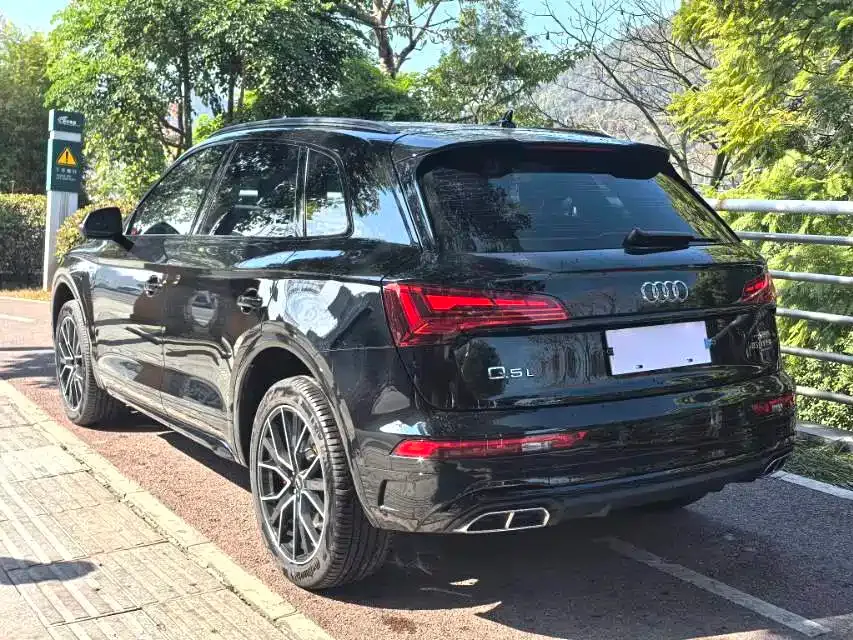 Audi Q5L 2024 из CN, фото 9