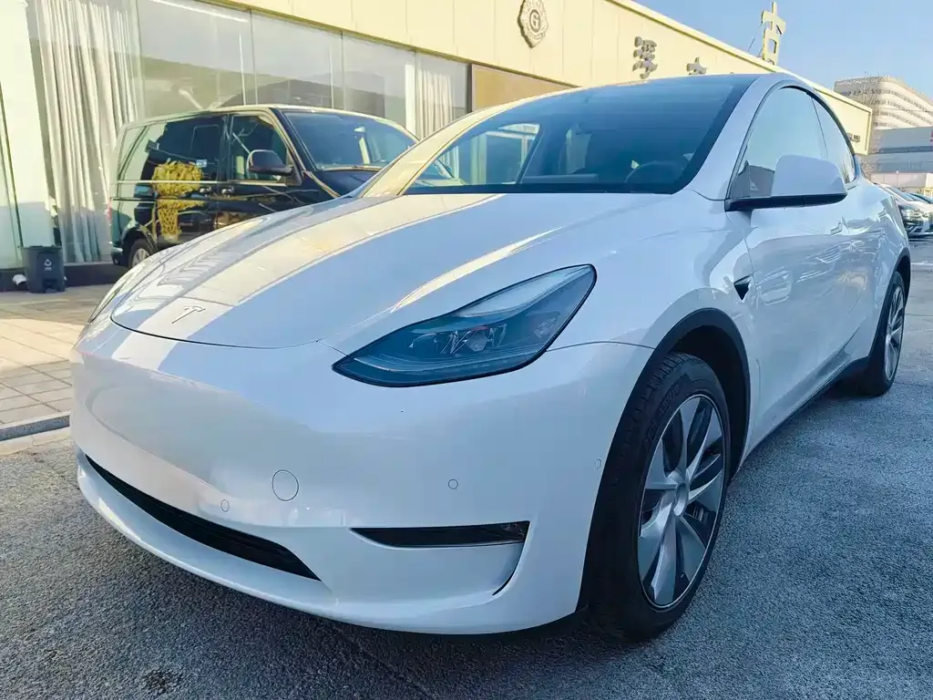 Tesla Model Y 2021 из CN, фото 1