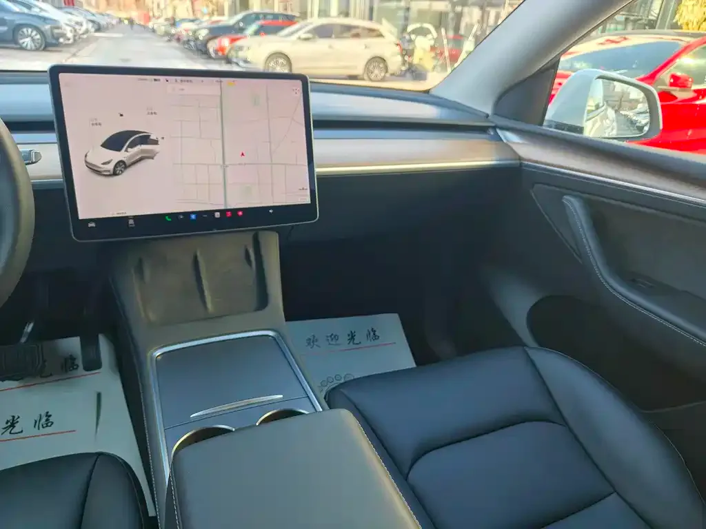 Tesla Model Y 2021 из CN, фото 5