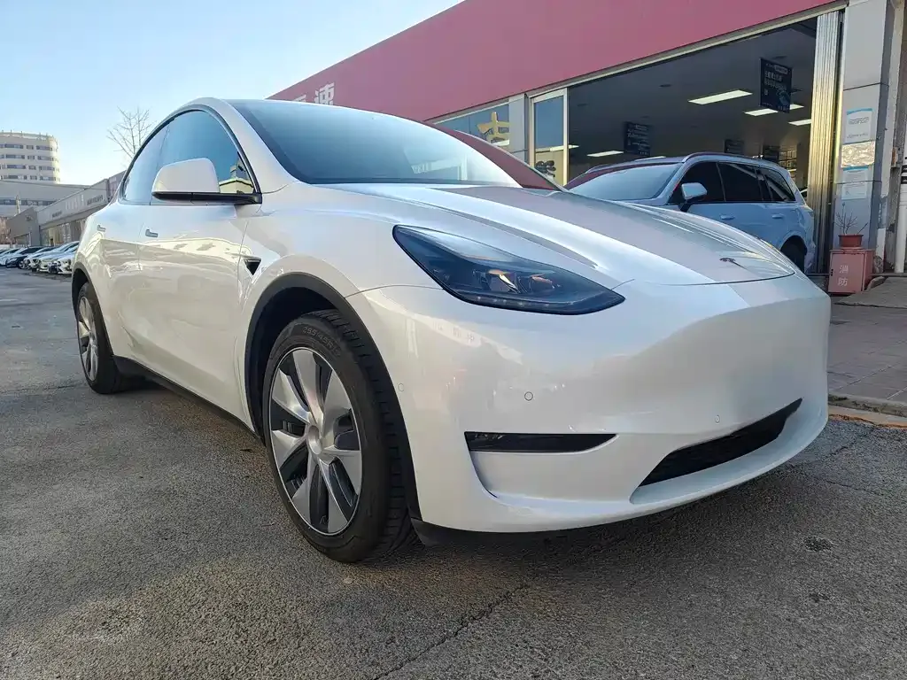Tesla Model Y 2021 из CN, фото 9
