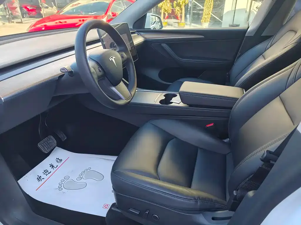 Tesla Model Y 2021 из CN, фото 7