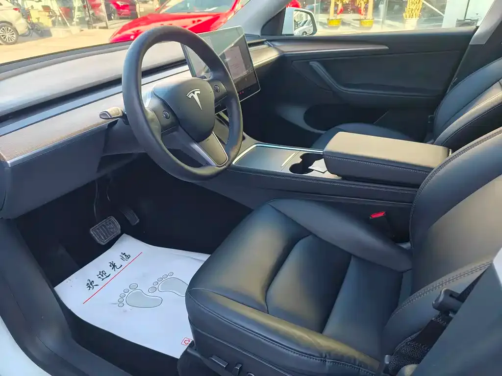 Tesla Model Y 2021 из CN, фото 2